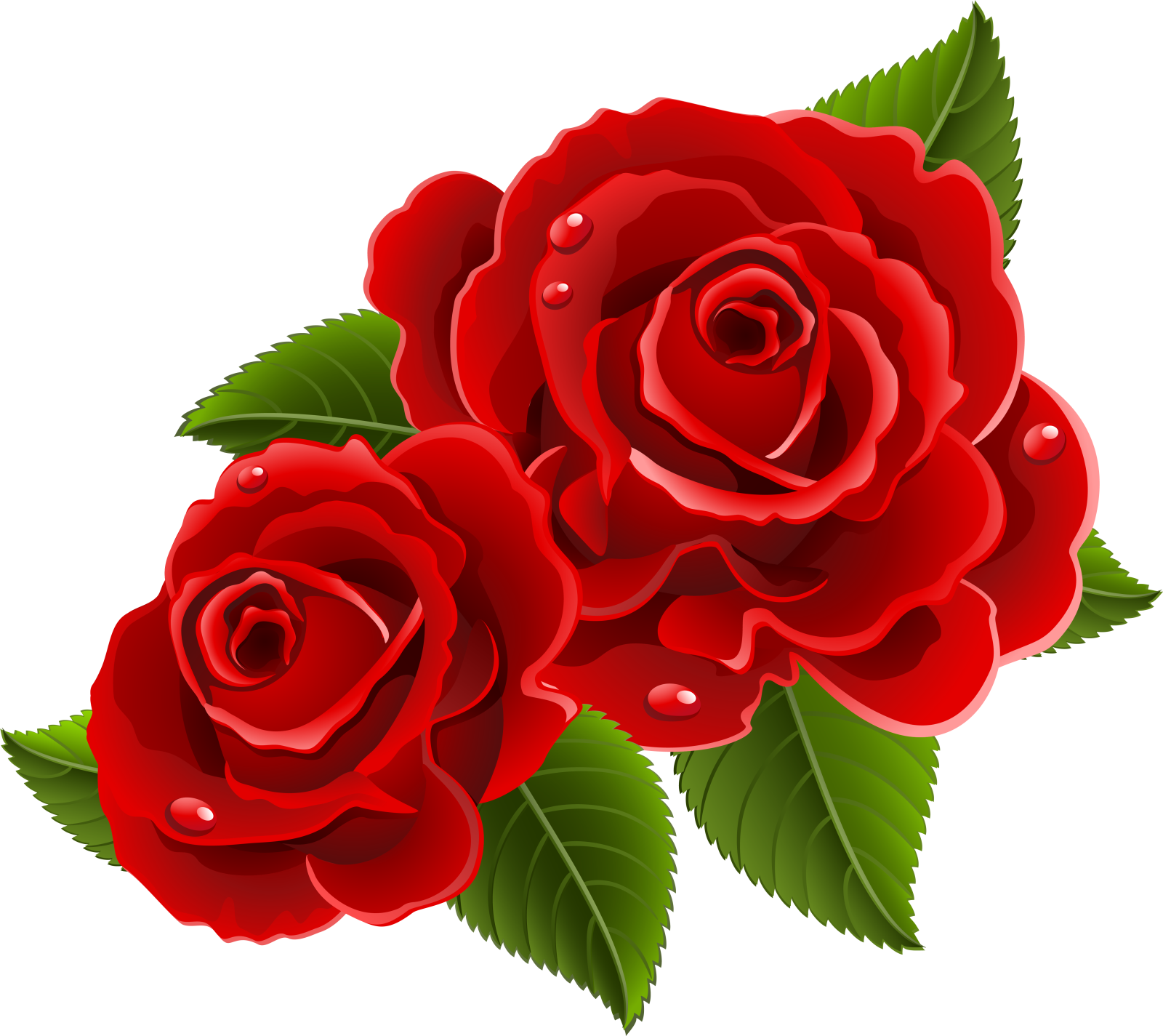 three red roses with green leaves