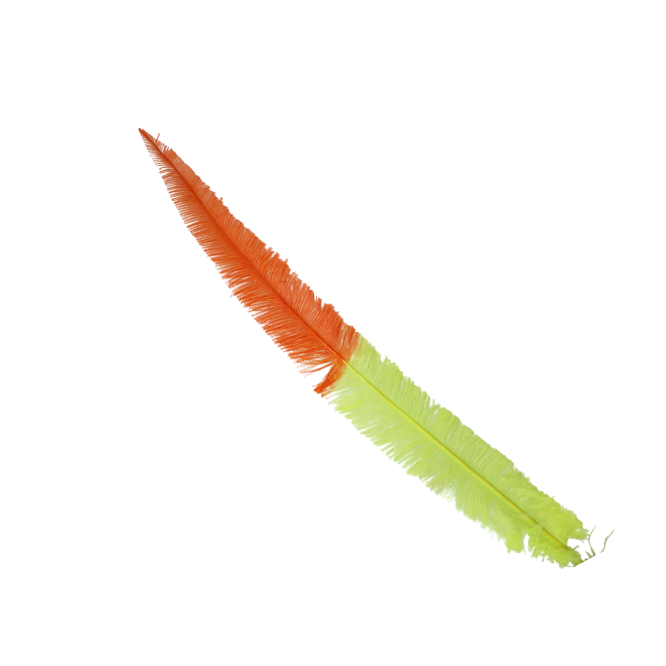 a green and orange feather on a white background
