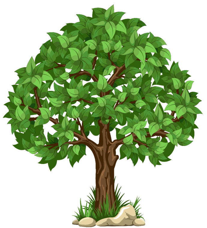 a tree with green leaves on white background
