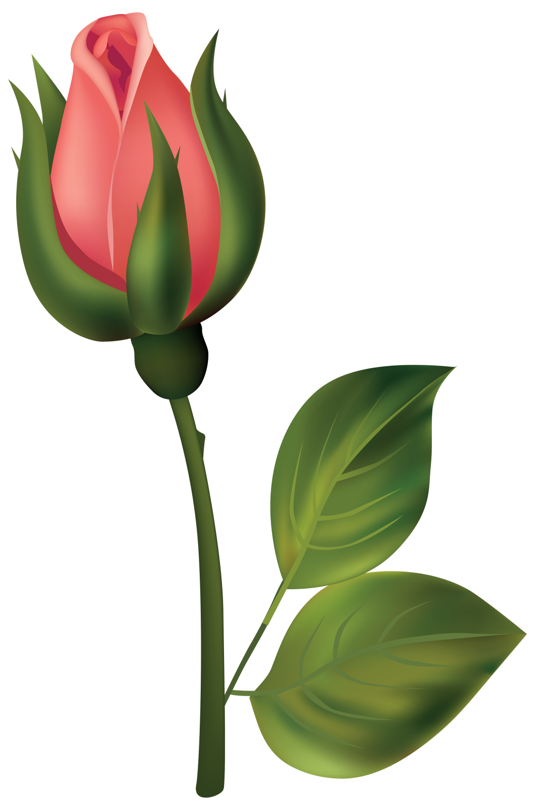 a red rose with green leaves