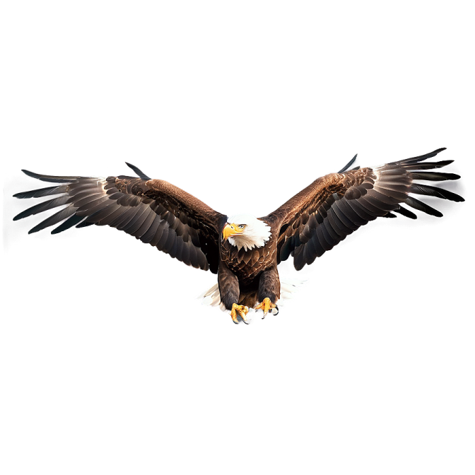 an eagle flying in the air with its wings spread