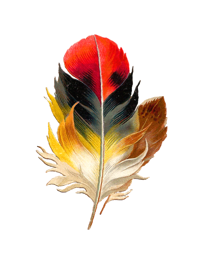 a watercolor feather on a white background