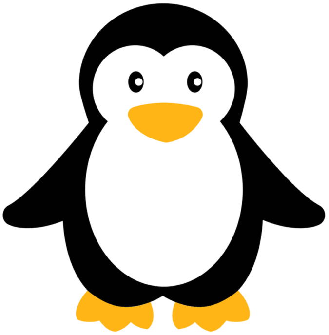 a black and white penguin with yellow feet