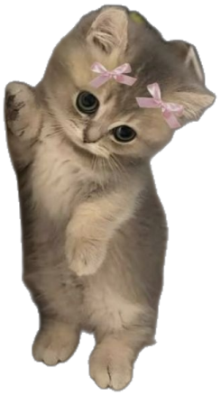 a small kitten with a pink bow on its head