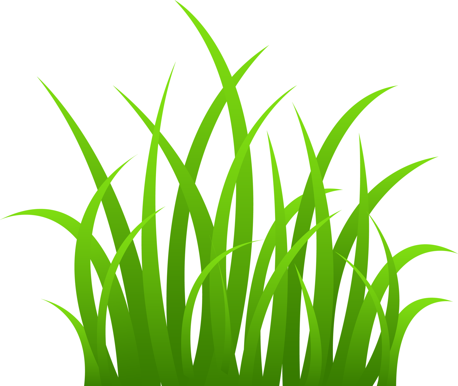 a bunch of green grass clipart