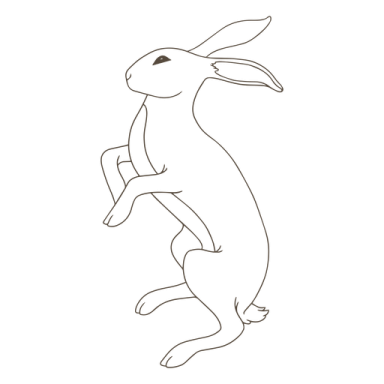 how to draw a rabbit