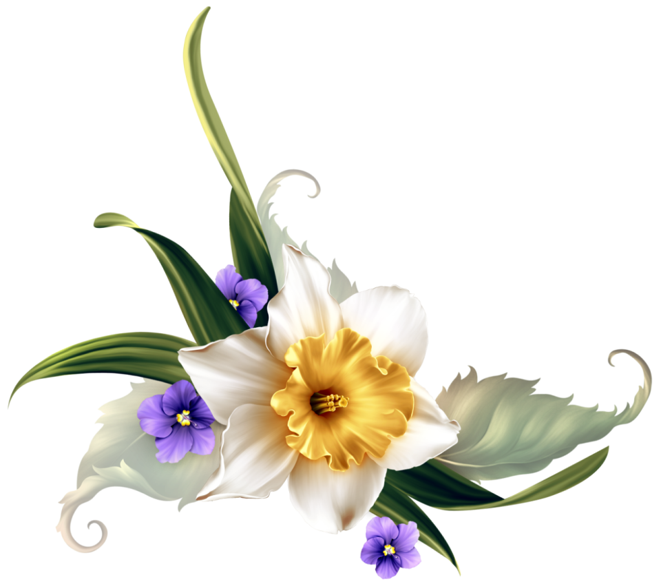 a white and purple flower with green leaves