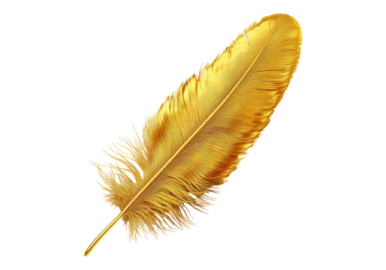 a golden feather on a white background