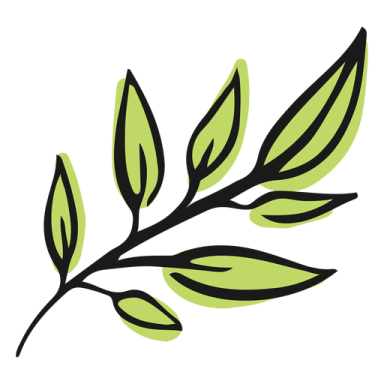a green leaf on a white background