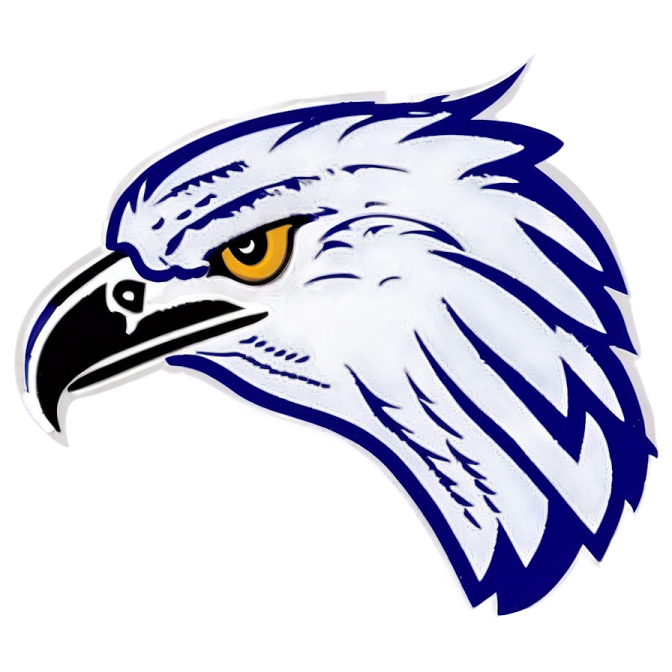 an eagle head with yellow eyes