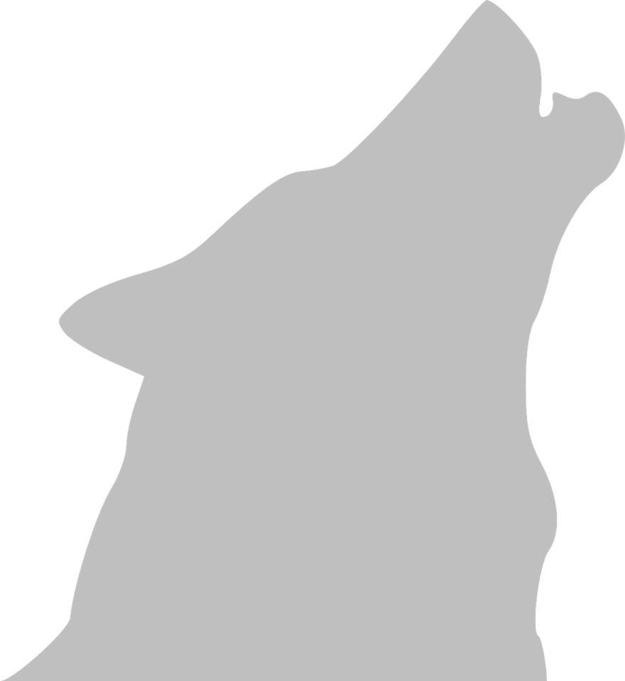 a wolf silhouetted on a white background