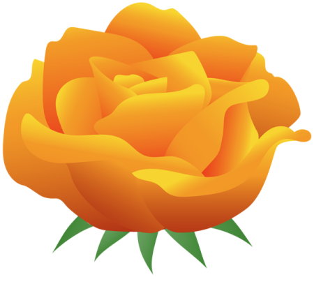 a yellow rose with green leaves