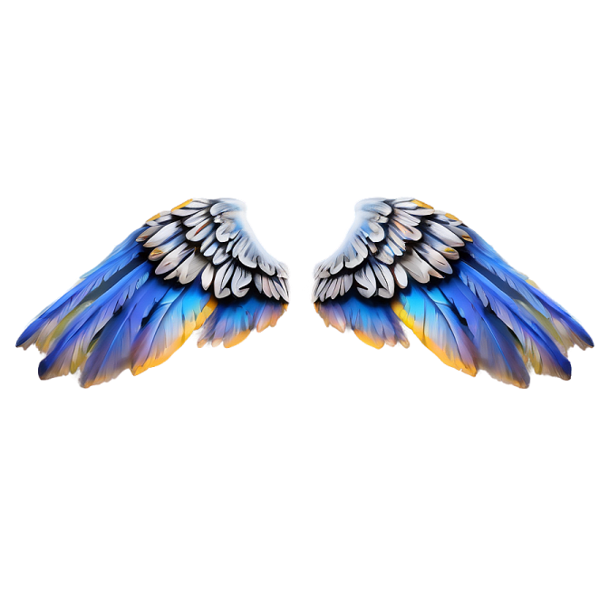 two blue and yellow wings on a white background