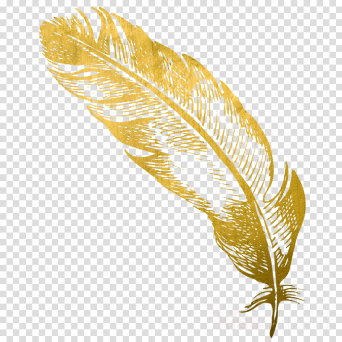 a golden feather on a transparent background