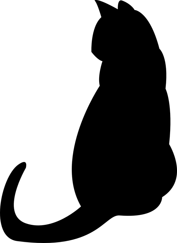 a black cat silhouetted on a white background