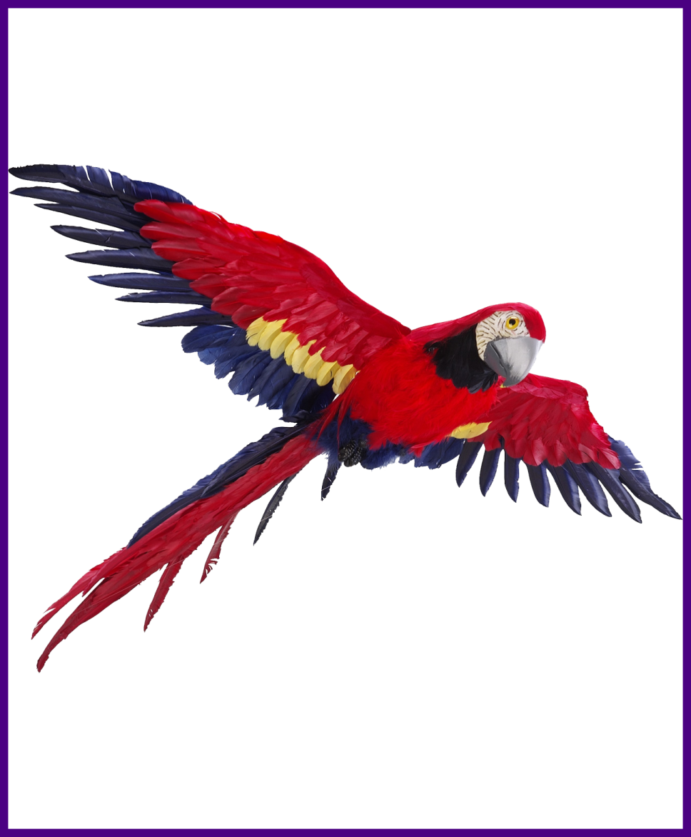 a red and yellow parrot flying in the air