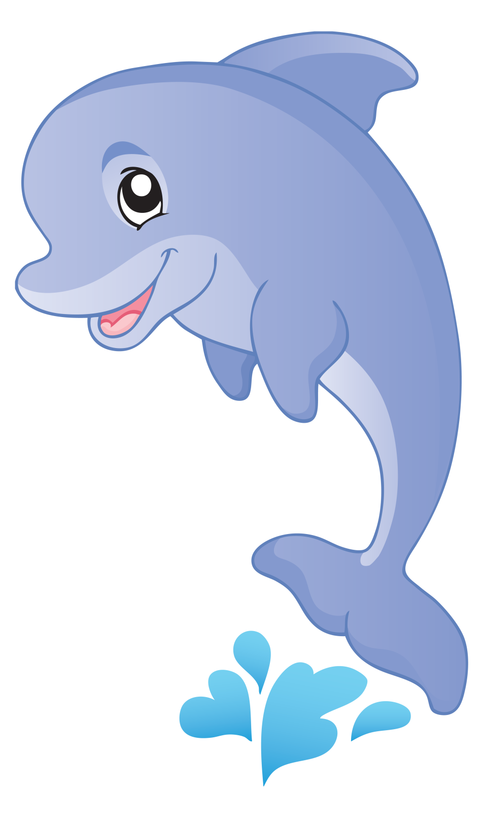 a dolphin with a smile on its face