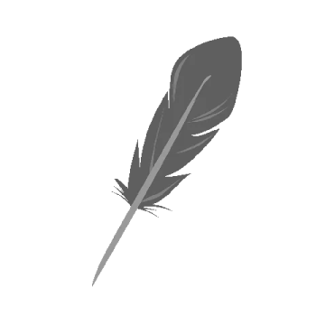 a black feather on a white background