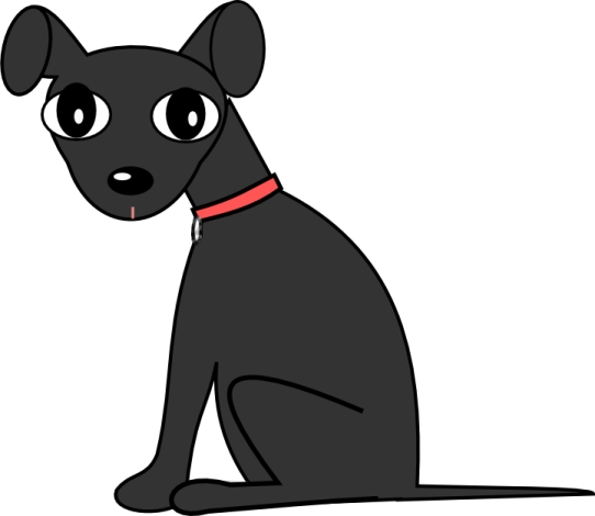 a black dog with a red collar sitting down