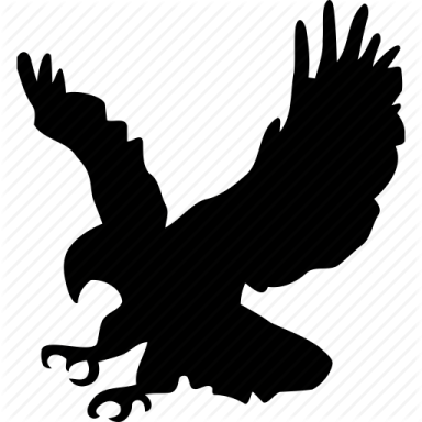an eagle silhouette on a white background