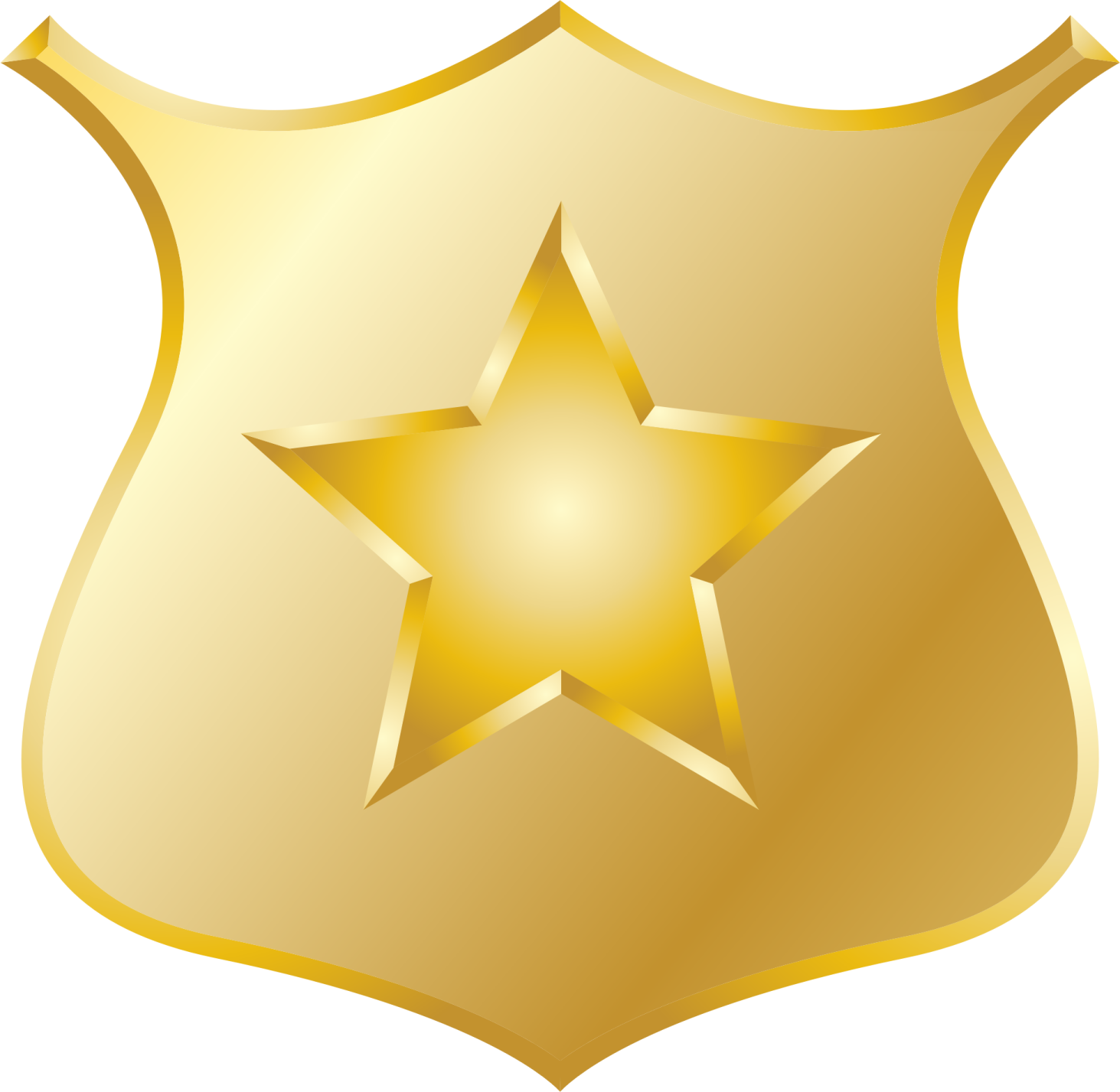 a gold police badge with a star