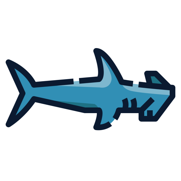 an image of a shark