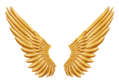 a pair of golden wings