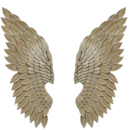 a pair of gold angel wings