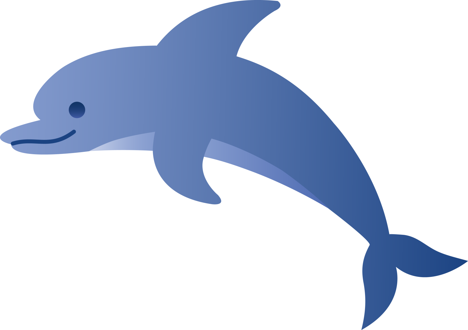 a dolphin with its mouth open