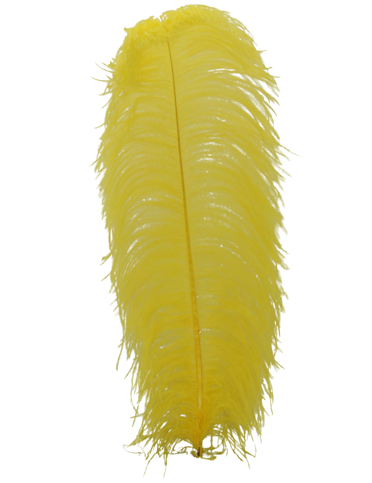 a yellow feather on white background
