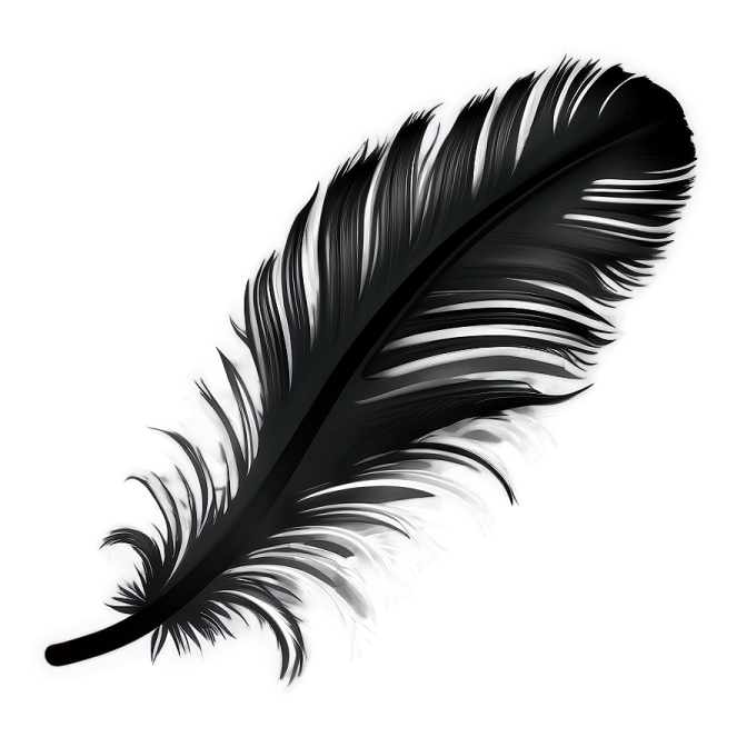 a black feather on a white background