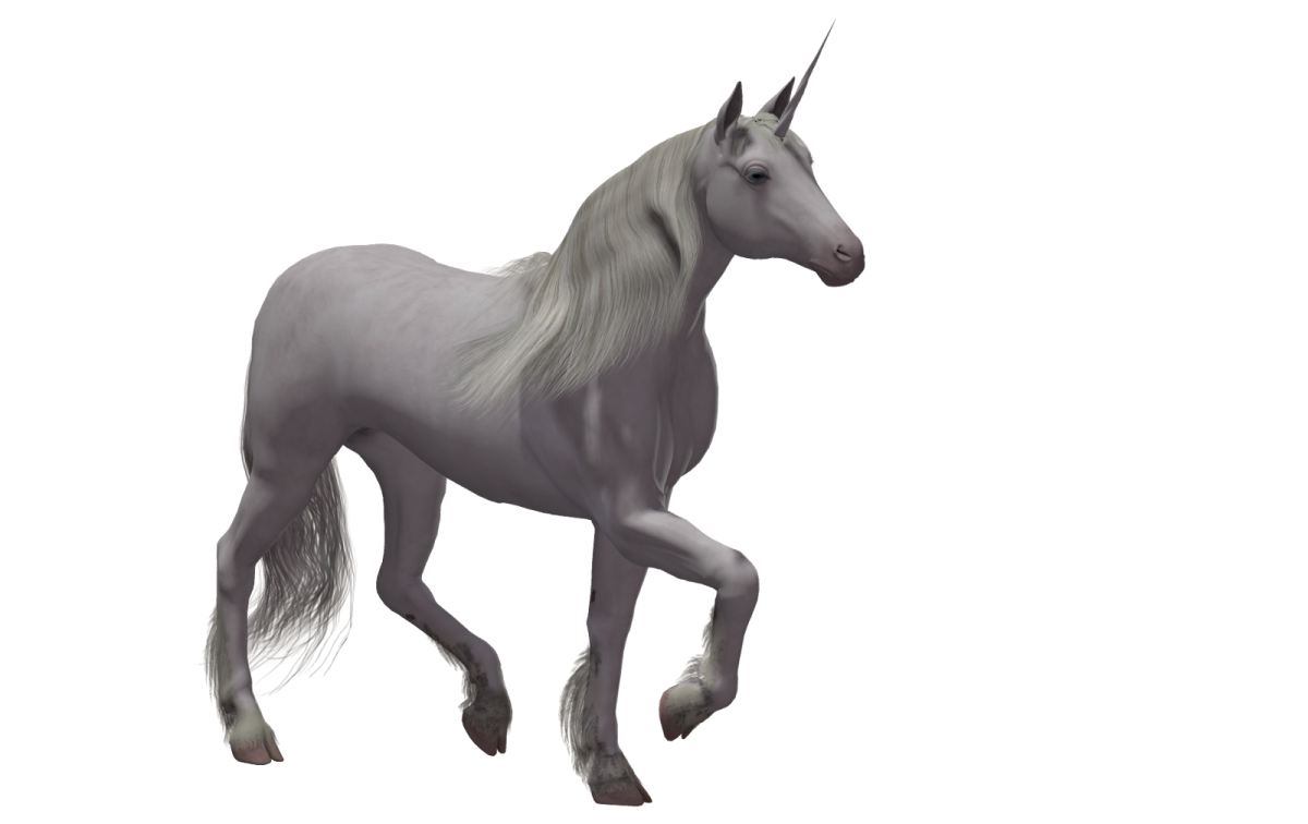 a white unicorn with long hair and a black mane