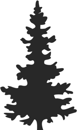 a black and white silhouette of a tree