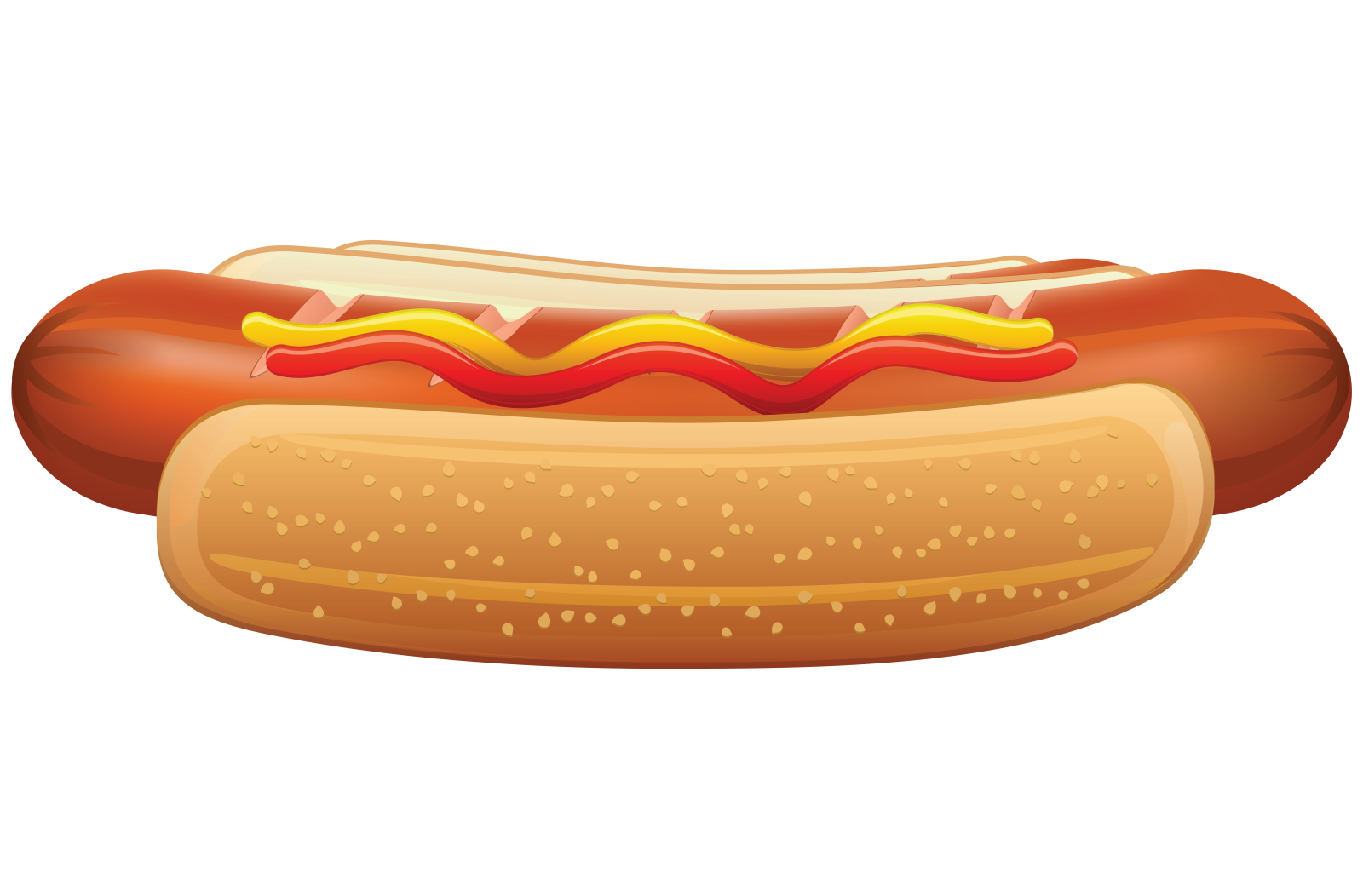 a hot dog on a white background