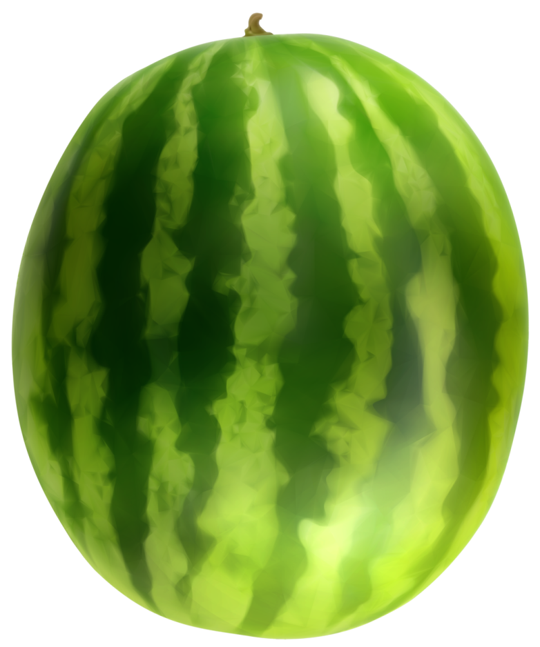 a green watermelon on a white background