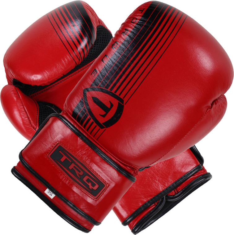 a pair of boxing gloves on a white background