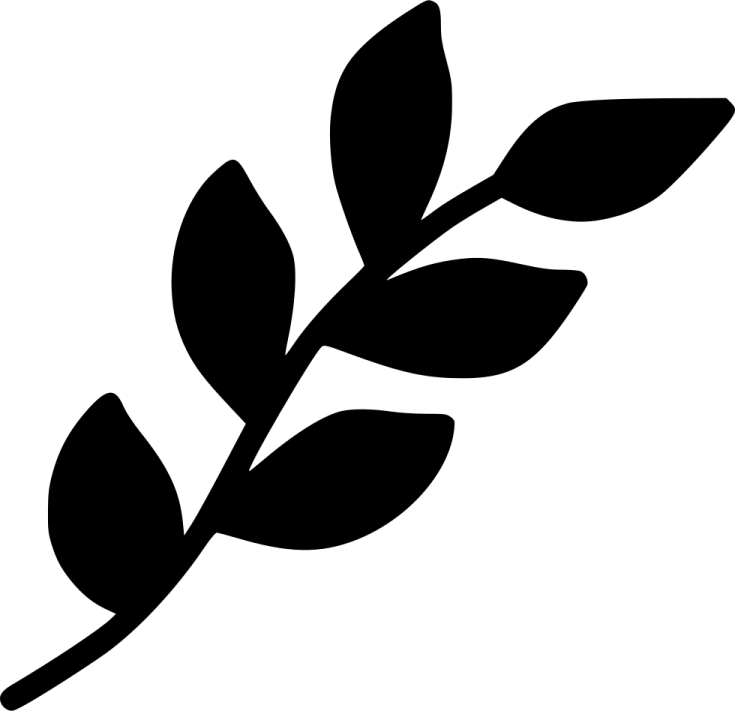 a black and white silhouette of a leaf