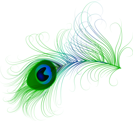 a peacock feather with blue and green feathers