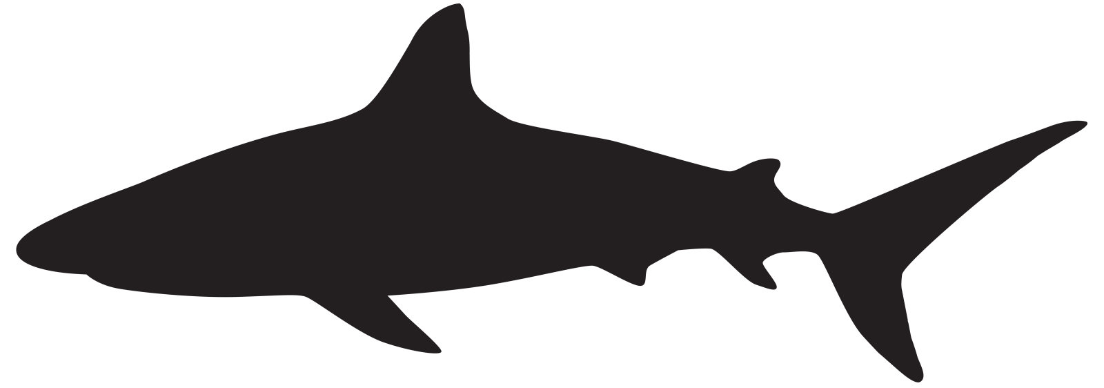 a black and white silhouette of a shark