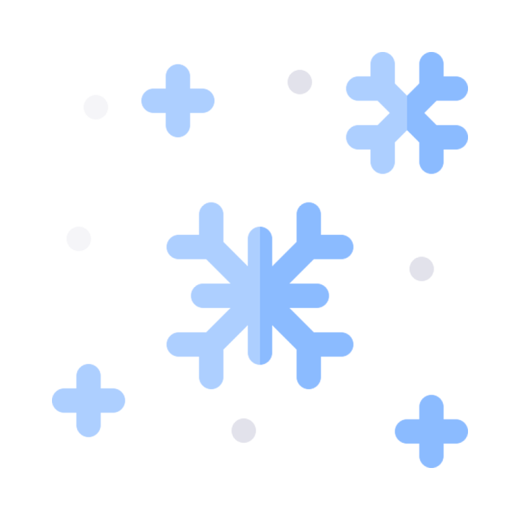 a snowflorer icon on a white background