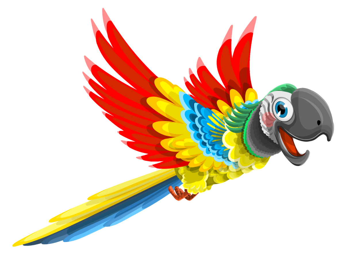 a colorful parrot with red and yellow feathers