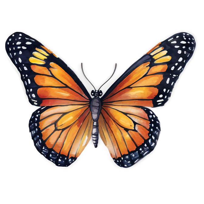 a watercolor painting of a monarch butterfly