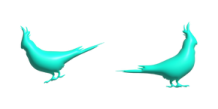 two blue birds on a white background