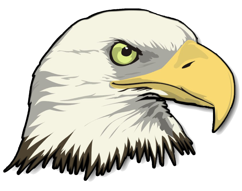 an eagle head with green eyes