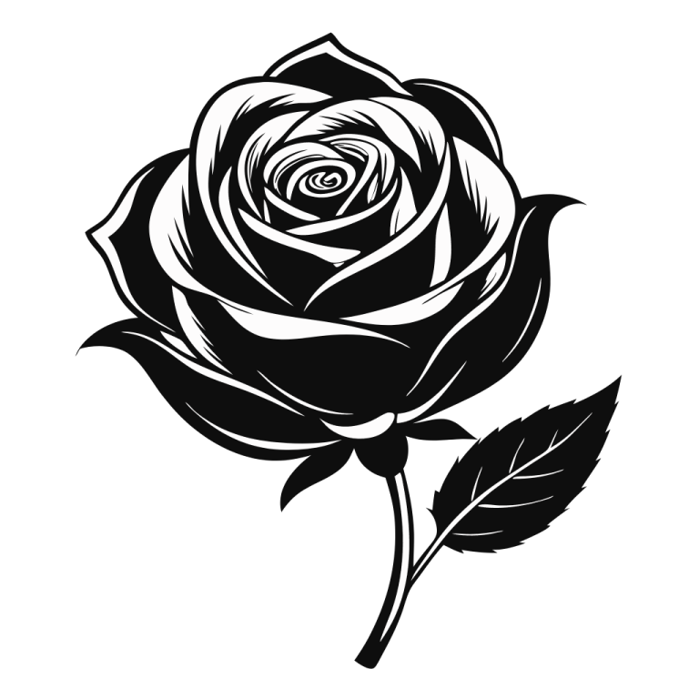 a black rose on a white background