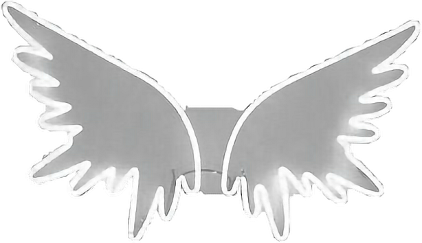 a metal angel wings on a white background