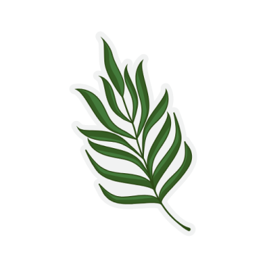 a green leaf on white background