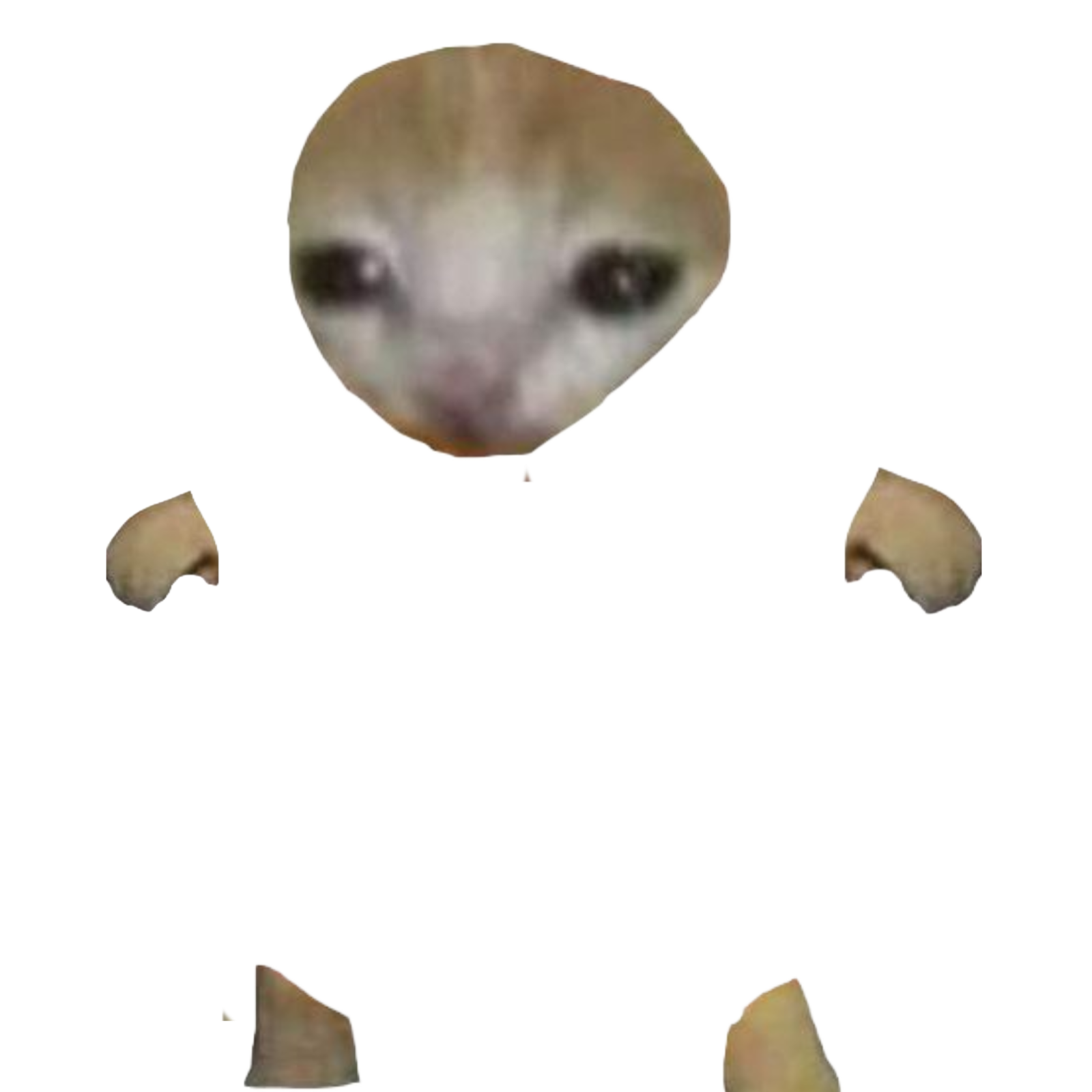 an image of the face of a mouse