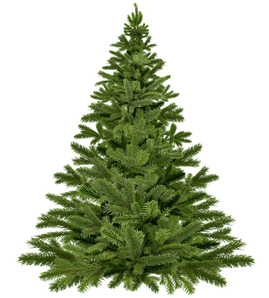 a christmas tree on a white background