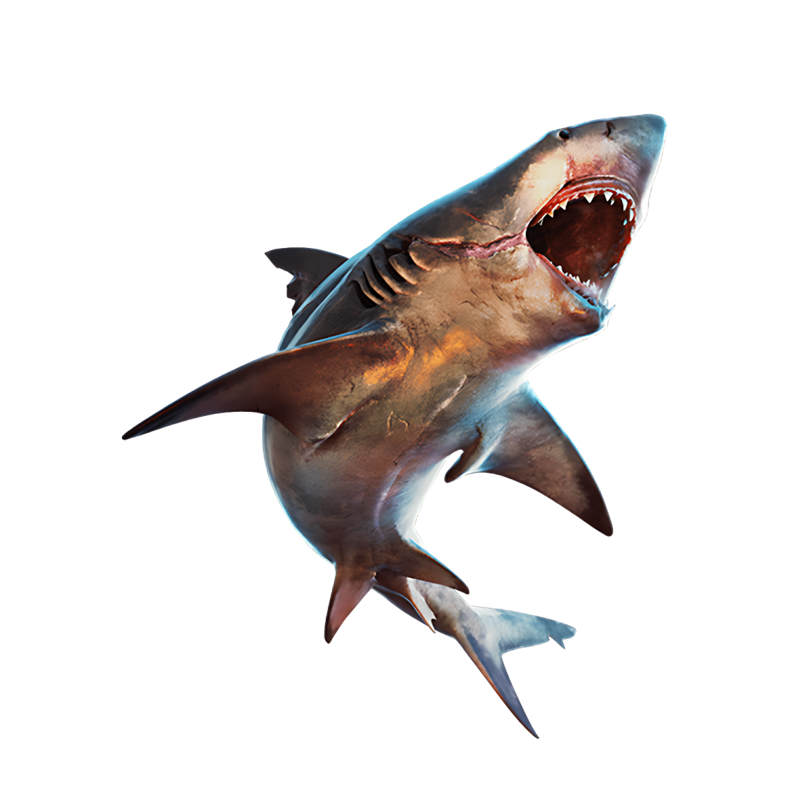 a great white shark with its mouth open